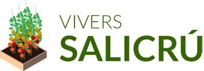 Vivers Salicrú logo