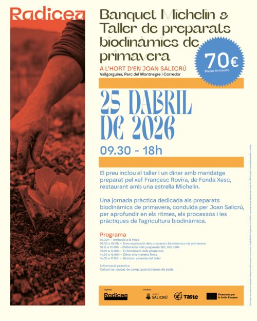 Taller Primavera 2026