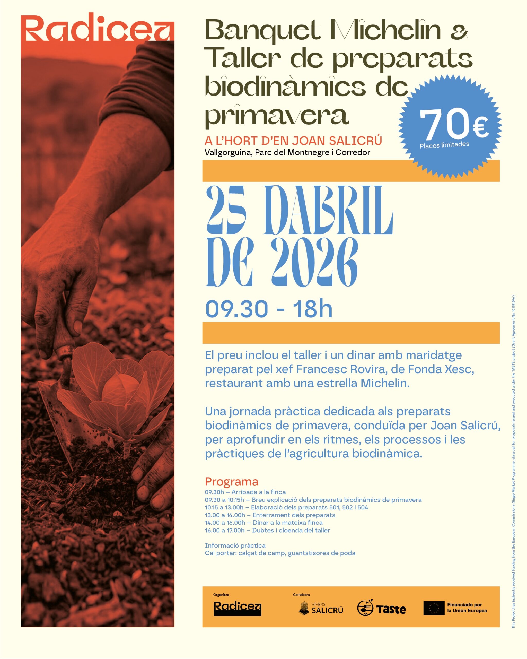 Taller Primavera 2026